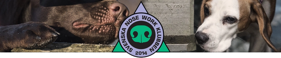 SNWK banner